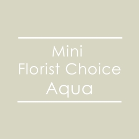 Mini Florist Choice Aqua