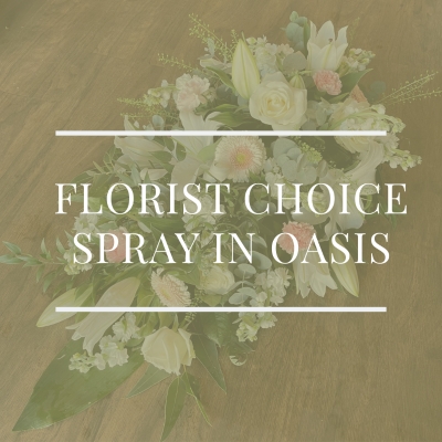 Florist Choice Spray in Oasis