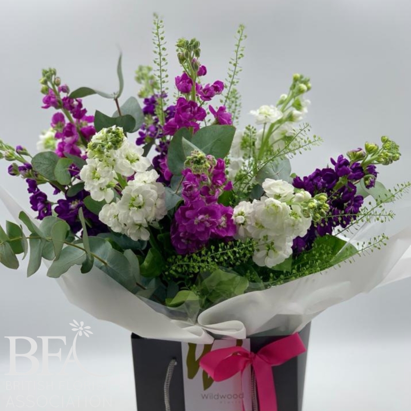 Leonie's Scented Stocks