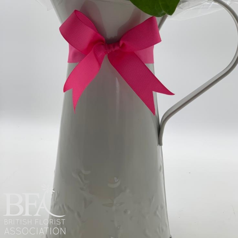 Leonie's Scented Stocks