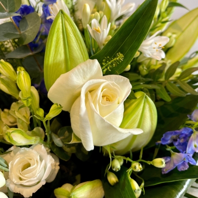 The Juniper Aqua Bouquet