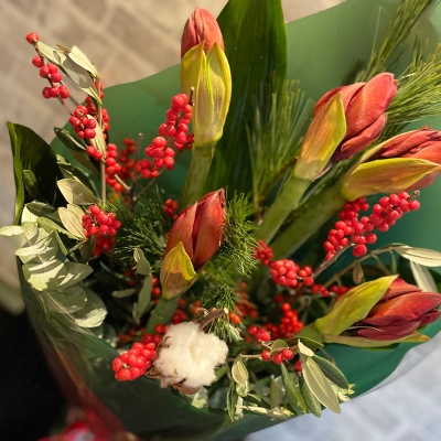 Amarylis Christmas Flat Bouquet