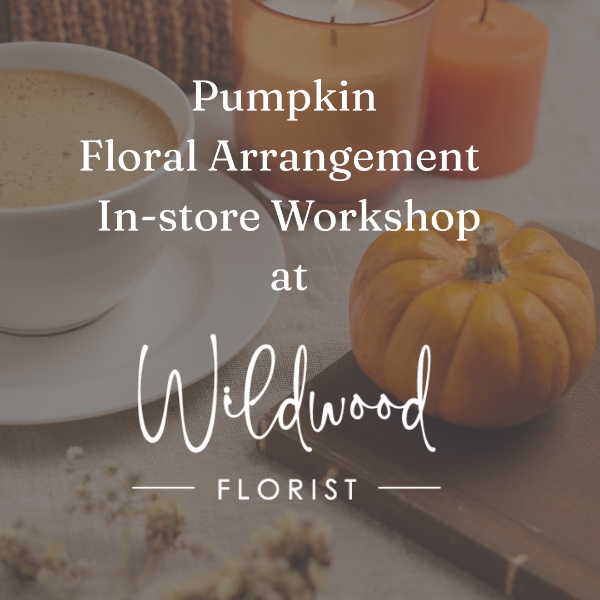 Pumpkin Autumnal Workshop In Store