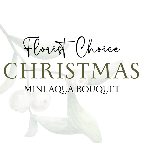 Christmas Mini Aqua Bouquet