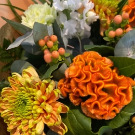 The Copper Beech Aqua Bouquet