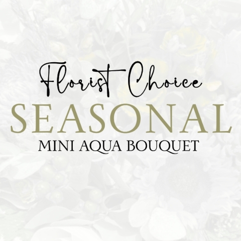 Mini Florist Choice Aqua