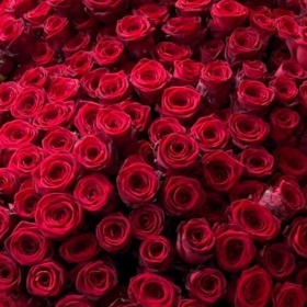 Bespoke Rose Bouquet